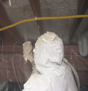 District of Columbia WA crawl space insulation